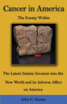 Image of Cancer in America by John U Hanna Book