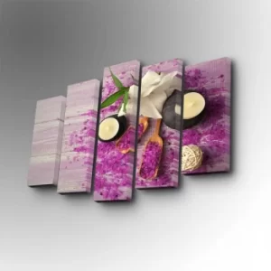 Image of 5PUC-115 Multicolor Decorative Canvas Painting (5 Pieces)