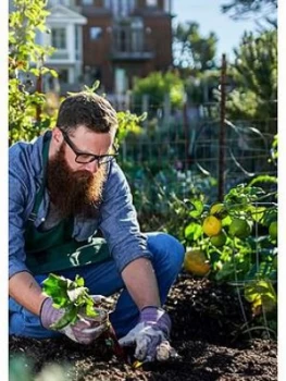 Image of Virgin Experience Days Garden Design And Maintenance Online Course