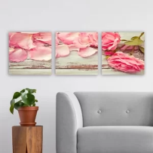 Image of P162062 Multicolor Decorative Canvas Painting (3 Pieces)