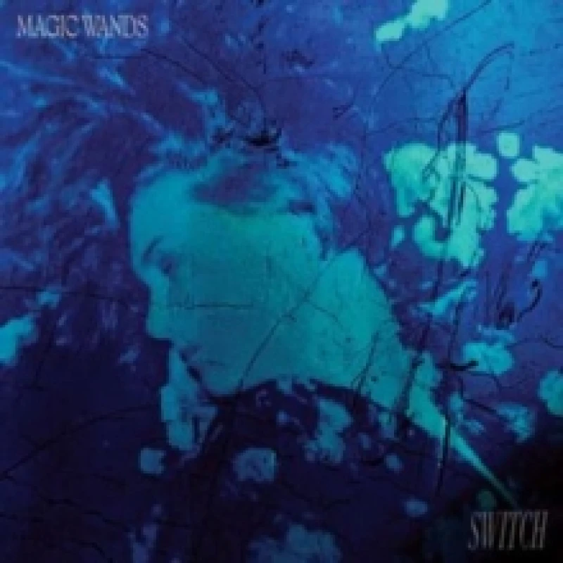 Image of Switch CD / Album