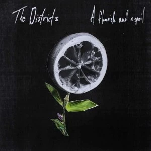Image of The Districts - A Flourish And A Spoil Vinyl