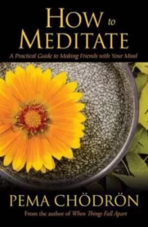 Image of How to meditate by Pema Chdrn