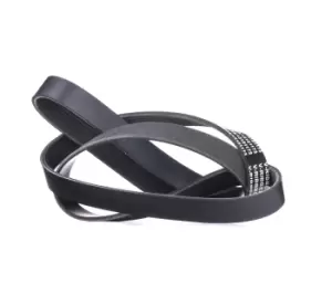 Image of RIDEX V-ribbed belt OPEL,RENAULT,FIAT 305P0418 6000616600,1172000Q5K,1172000Q6D 117206430R,119204796R,4423078,4423724,93452888,95517889,95519124