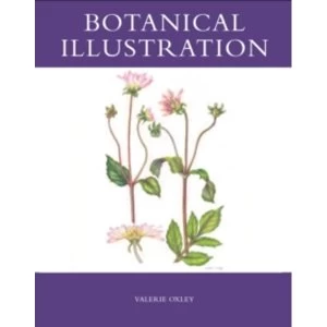 Image of Botanical Illustration by Valerie Oxley (Paperback, 2008)