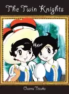 Image of twin knights