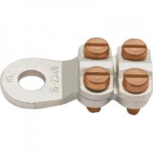 Image of Ring terminal 4x screw Cross section max.25mm Hole 10.5 mm