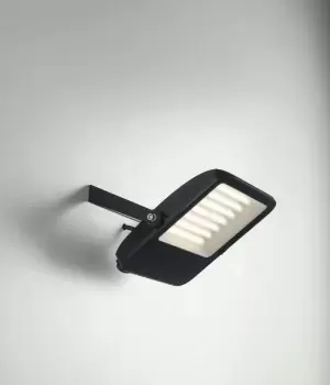 Image of Taurus Outdoor Built-In LED Flood Lamp Black With Tempered Glass Diffuser, Black, IP65, 4000K