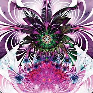 Image of ohpopsi Feathered Wall Mural Multi 19.6m XL
