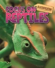 Image of Classification: Focus on: Reptiles