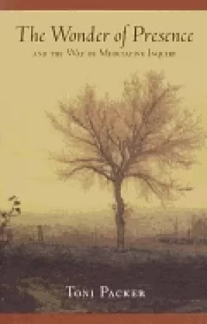 Image of wonder of presence and the way of meditative inquiry