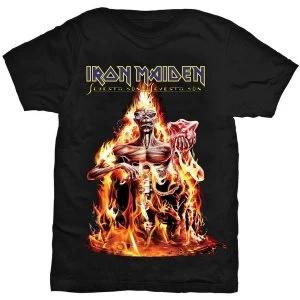 image of Iron Maiden CM EXL Seventh Son Mens Large T-Shirt - Black