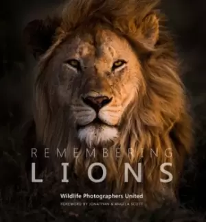Image of Remembering lions - Margot Raggett - Hardback - Used