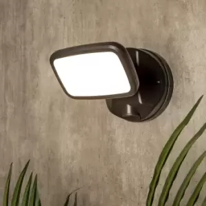 image of Lynn 1 Light Outdoor Wall Light (IP65) - Dark Grey