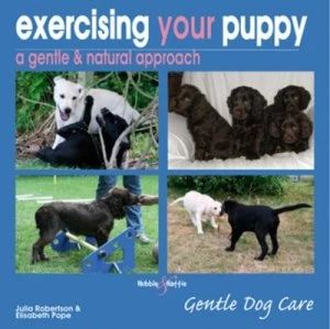 Image of Exercising Your Puppy by Julia Robertson and Elisabeth Pope Book