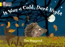 Image of It Was a Cold Dark Night : Band 03/Yellow