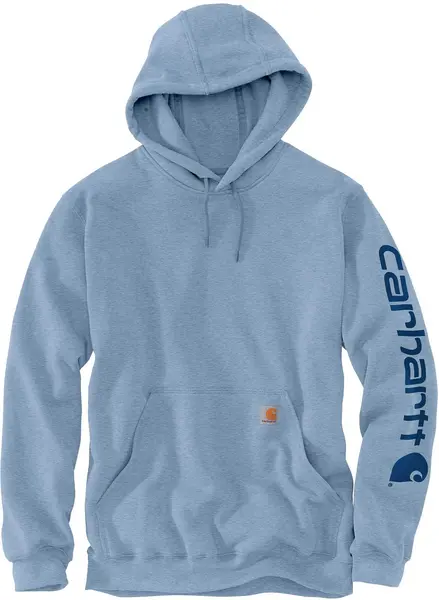 Image of Carhartt Logo, hoodie , color: Light Blue (H74) , size: L