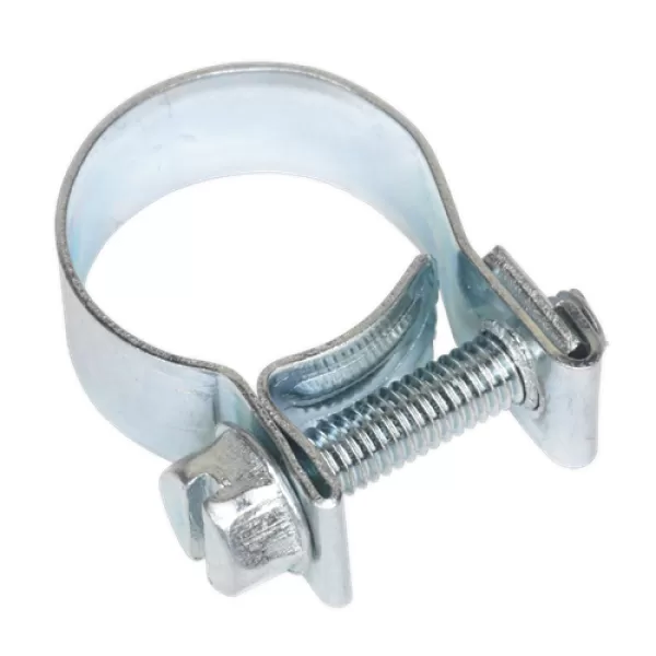 Image of Genuine SEALEY MHC1517 Mini Hose Clip Ø15-17mm Pack of 20