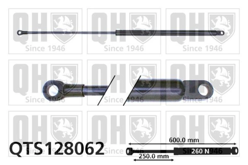 Image of QUINTON HAZELL Tailgate strut QUINTON HAZELL QTS128062