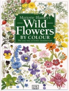 Image of Marjorie Blameys Wild Flowers by Colour by Marjorie Blamey Hardback