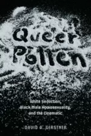 Image of queer pollen white seduction Black male homosexuality and the cinematic