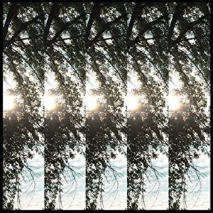 Image of Pontiak - Dialectic Of Ignorance Vinyl