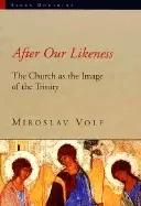 Image of after our likeness the church as the image of the trinity