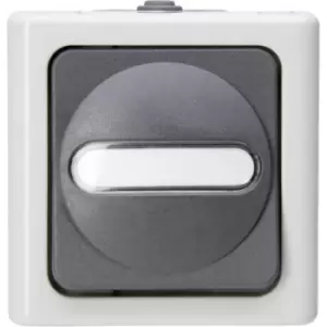 image of Kopp 560856002 1 Piece Wet room switch product range Complete Switch BlueElectric Grey