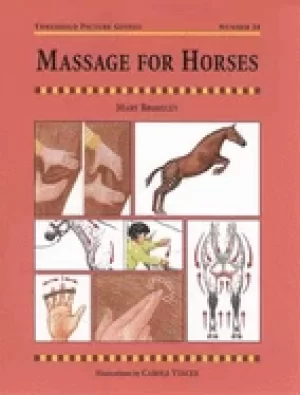 Image of massage for horses