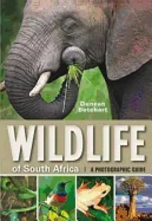 Image of wildlife of south africa a photographic guide