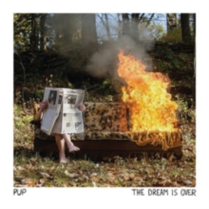 Image of Dream is over Vinyl