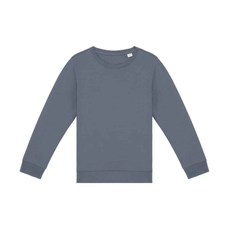 Image of Native Spirit PC5120 boys's Children's sweater in Grey