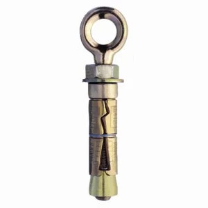 Image of Rawl Eye Rawlbolt Anchor M12 Pack of 2