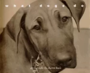 Image of what dogs do