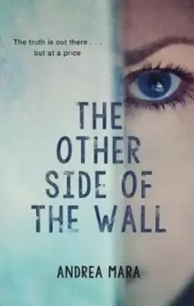Image of The Other Side of the Wall