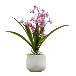 Image of Gallery Interiors Wirth Potted Cymbidium Orchid Pink / Small