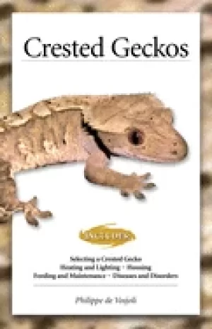 Image of crested geckos from the experts at advanced vivarium systems