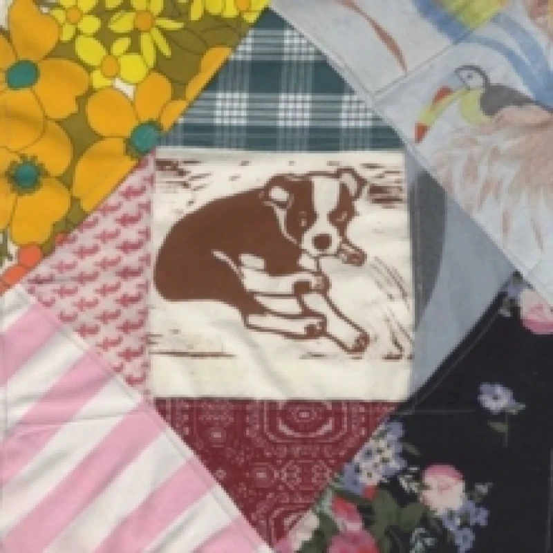 Image of Roscoe's dream Vinyl
