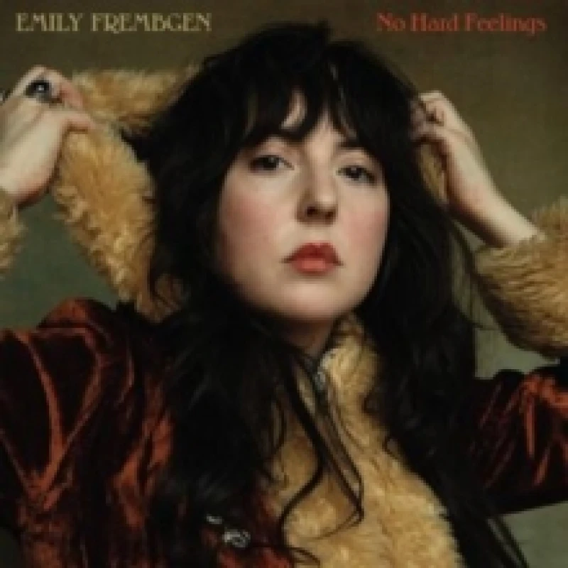 Image of No hard feelings Vinyl
