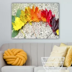 Image of 474050998_70100 Multicolor Decorative Canvas Painting