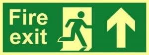 Image of Fire Exit ArrwUp Sign Flxble S/A Lum.Brd