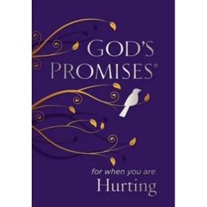 Image of God's Promises for When You are Hurting