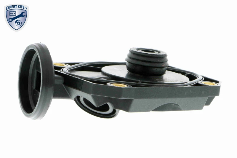 Image of VAICO V20-1512 Valve, engine block breather Right, Breather Valve, with gasket/seal Valve,engine block breather (3886)