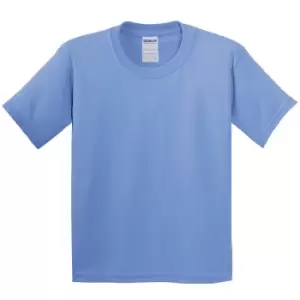 Gildan Youth Unisex Heavy Cotton T-Shirt (M) (Carolina Blue)