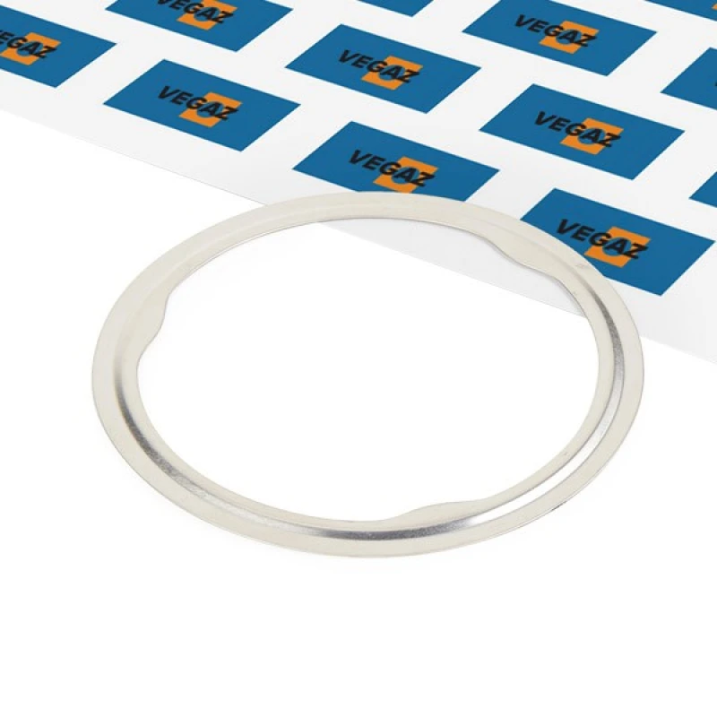 Image of Exhaust pipe gasket VEGAZ OD-171