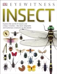 Image of Insect : Explore the world of insects and creepy-crawlies - the most adaptable and numerous creatures on the planet