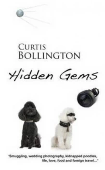 Image of Hidden Gems by Curtis Bollington Paperback