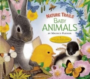 Image of Nature Trails Baby Animals by Maurice Pledger Hardback