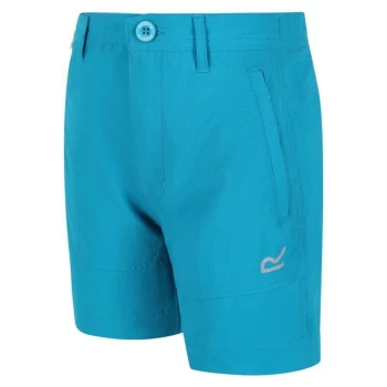 Image of Regatta Junior Highton Shorts - Enamel