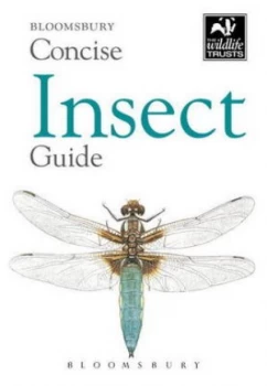 Image of Concise Insect Guide Paperback